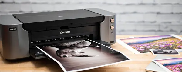 Canon print